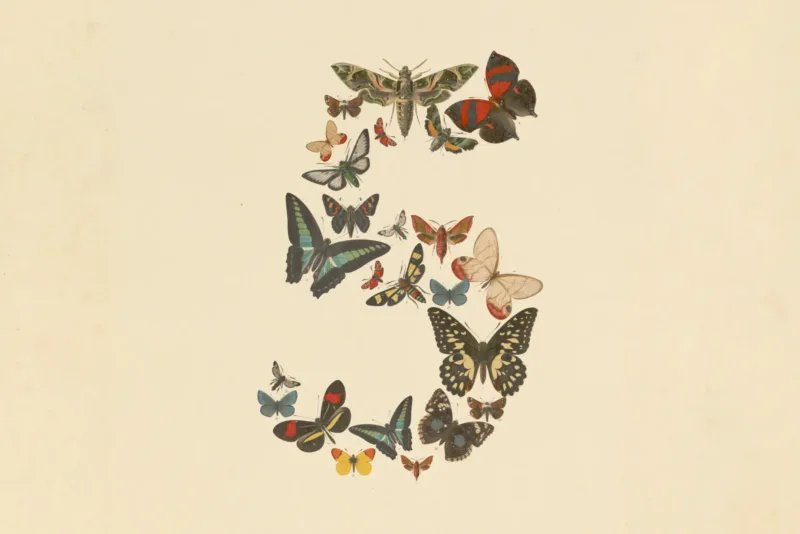 Anthropic: Νέο Claude Fable 5 με κορυφαίες επιδόσεις, διπλάσιο κόστος και φίλτρα.