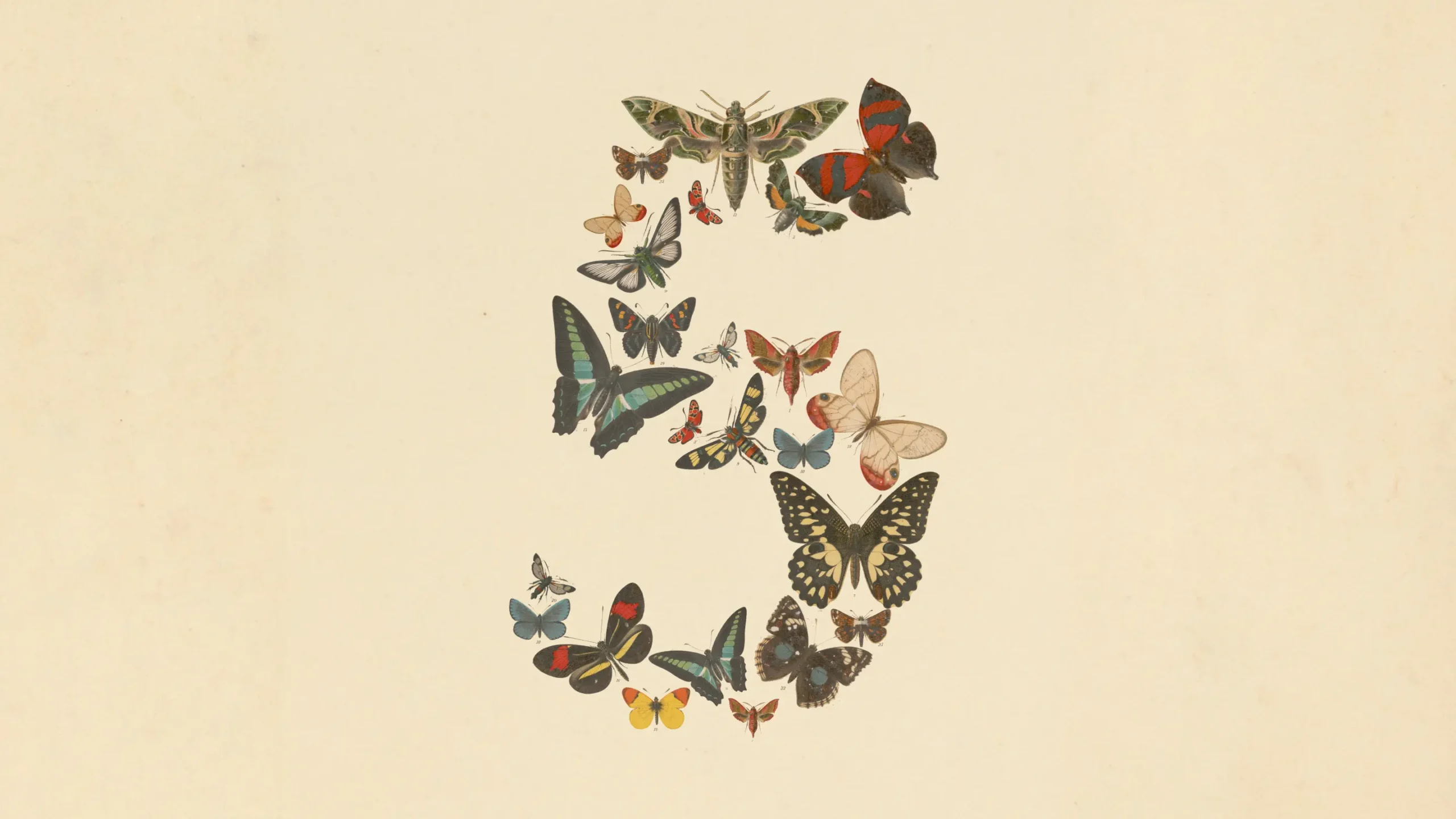 Anthropic: Νέο Claude Fable 5 με κορυφαίες επιδόσεις, διπλάσιο κόστος και φίλτρα.